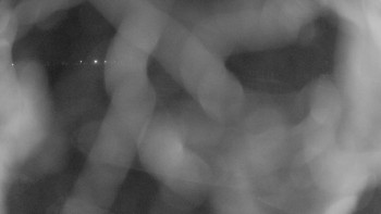 Zámecké koupaliště Holešov