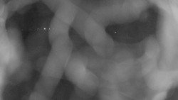 Areál koupaliště Holešov