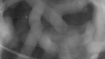 Zámecké koupaliště Holešov