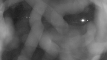 Zámecké koupaliště Holešov