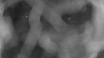 Zámecké koupaliště Holešov