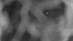 Areál koupaliště Holešov