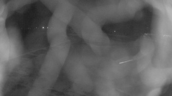 Zámecké koupaliště Holešov