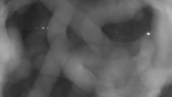 Zámecké koupaliště Holešov