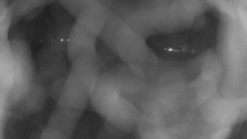 Zámecké koupaliště Holešov