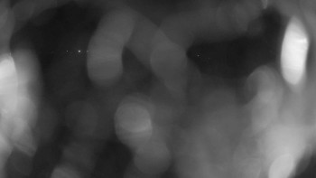 Zámecké koupaliště Holešov