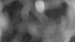 Areál koupaliště Holešov