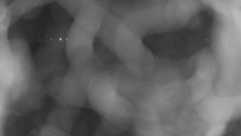 Zámecké koupaliště Holešov