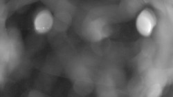 Areál koupaliště Holešov