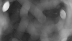 Areál koupaliště Holešov