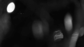 Zámecké koupaliště Holešov