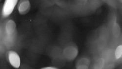 Areál koupaliště Holešov