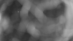 Areál koupaliště Holešov