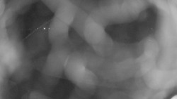 Areál koupaliště Holešov