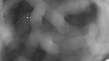 Zámecké koupaliště Holešov