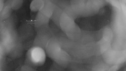 Areál koupaliště Holešov