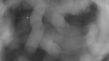 Zámecké koupaliště Holešov