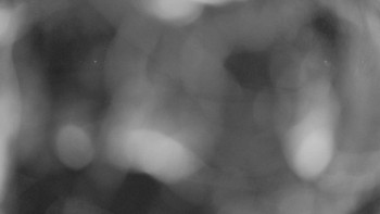 Zámecké koupaliště Holešov