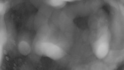 Areál koupaliště Holešov