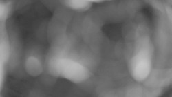 Areál koupaliště Holešov