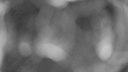 Areál koupaliště Holešov