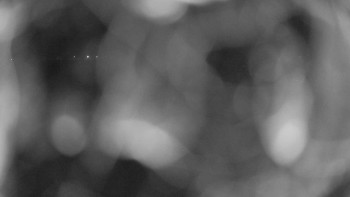 Zámecké koupaliště Holešov