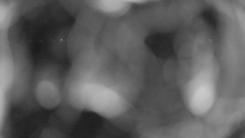 Zámecké koupaliště Holešov