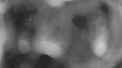 Areál koupaliště Holešov