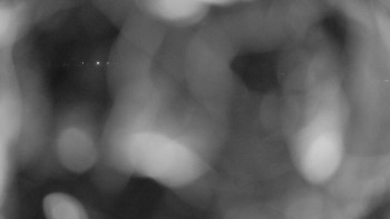 Zámecké koupaliště Holešov