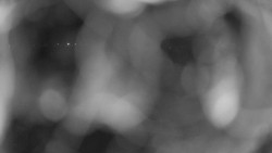 Areál koupaliště Holešov