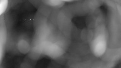 Areál koupaliště Holešov