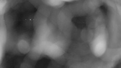 Areál koupaliště Holešov