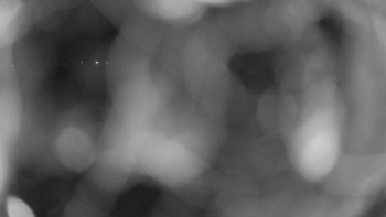 Zámecké koupaliště Holešov