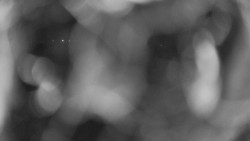 Areál koupaliště Holešov