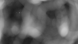 Areál koupaliště Holešov