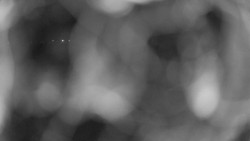 Areál koupaliště Holešov