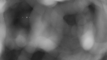 Zámecké koupaliště Holešov