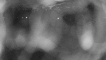 Zámecké koupaliště Holešov