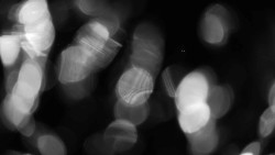 Areál koupaliště Holešov