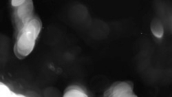 Areál koupaliště Holešov