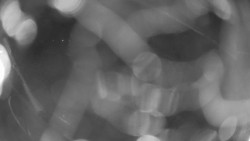 Areál koupaliště Holešov