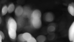 Areál koupaliště Holešov