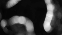 Areál koupaliště Holešov