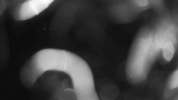 Areál koupaliště Holešov