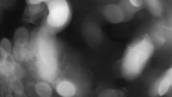 Areál koupaliště Holešov