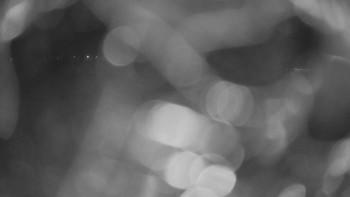 Zámecké koupaliště Holešov