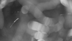 Areál koupaliště Holešov