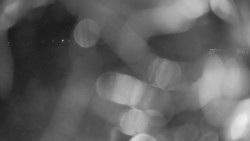 Areál koupaliště Holešov