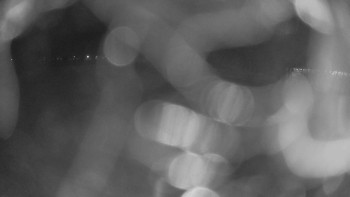 Zámecké koupaliště Holešov