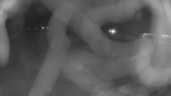 Areál koupaliště Holešov